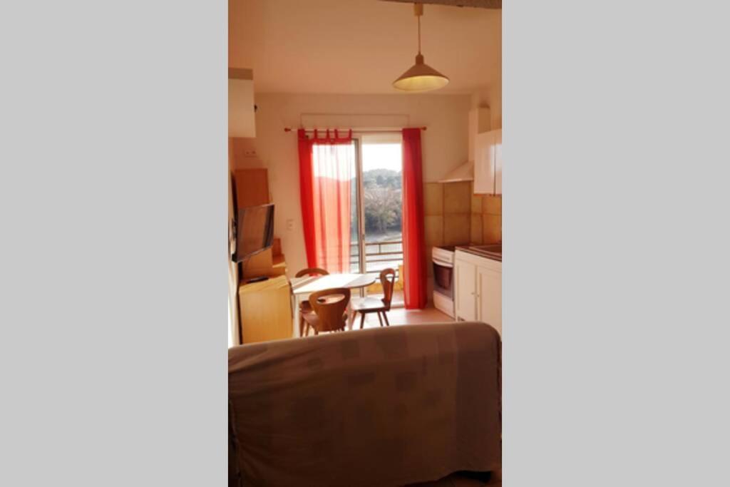 Joli Appartement, Terrasse Plein Sud Roquebrun Екстер'єр фото